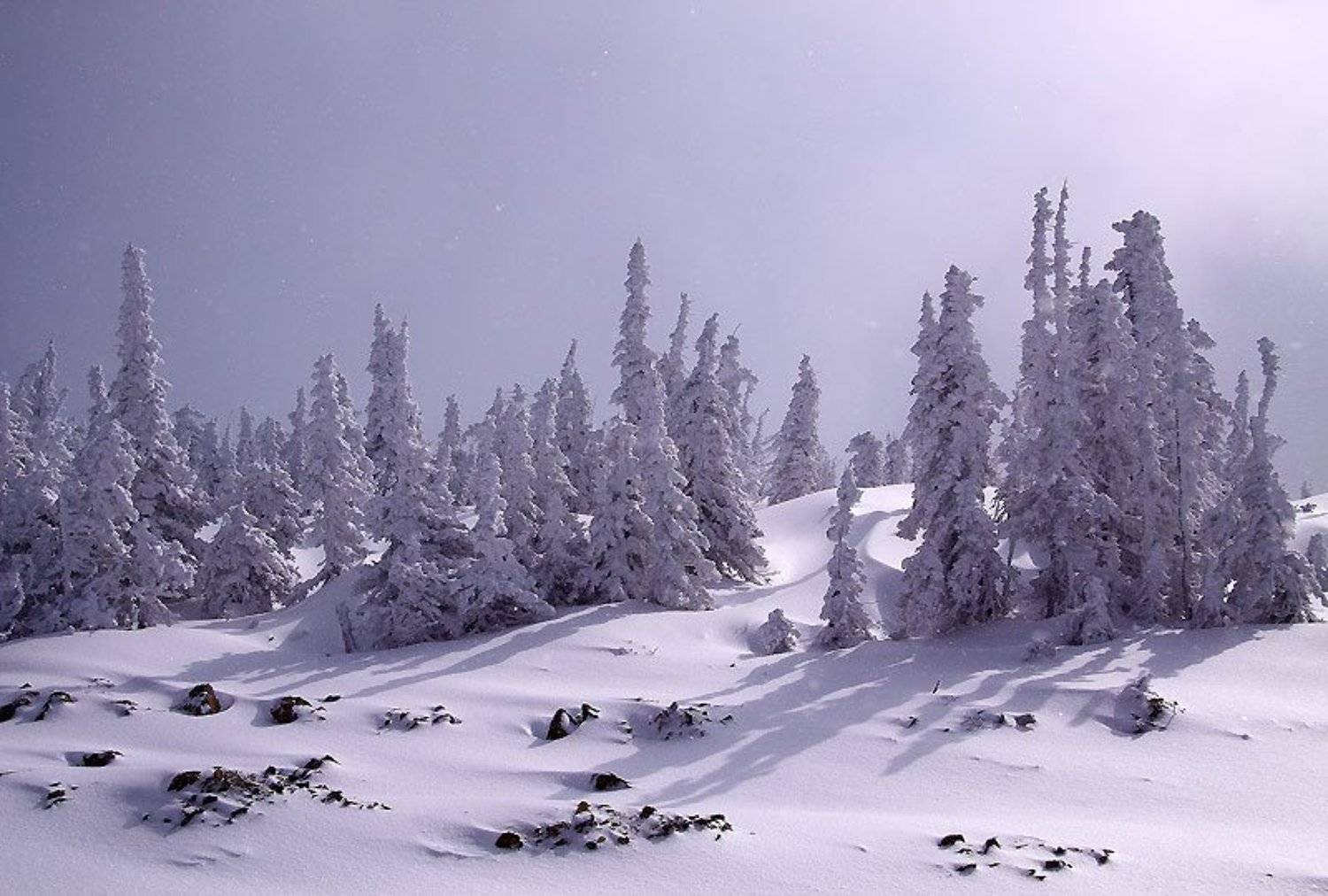 шерегеш, allegria