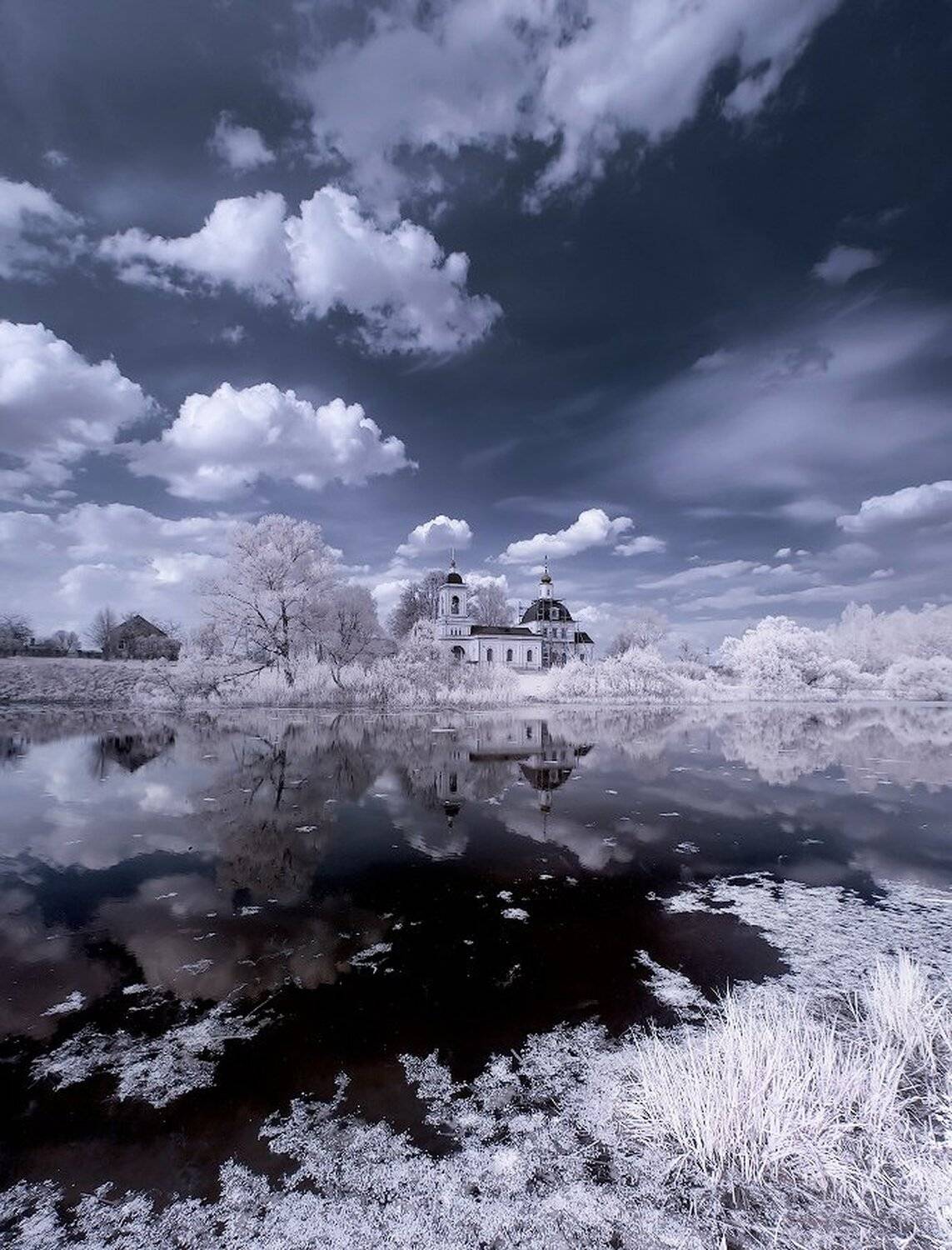 , Максим Евдокимов