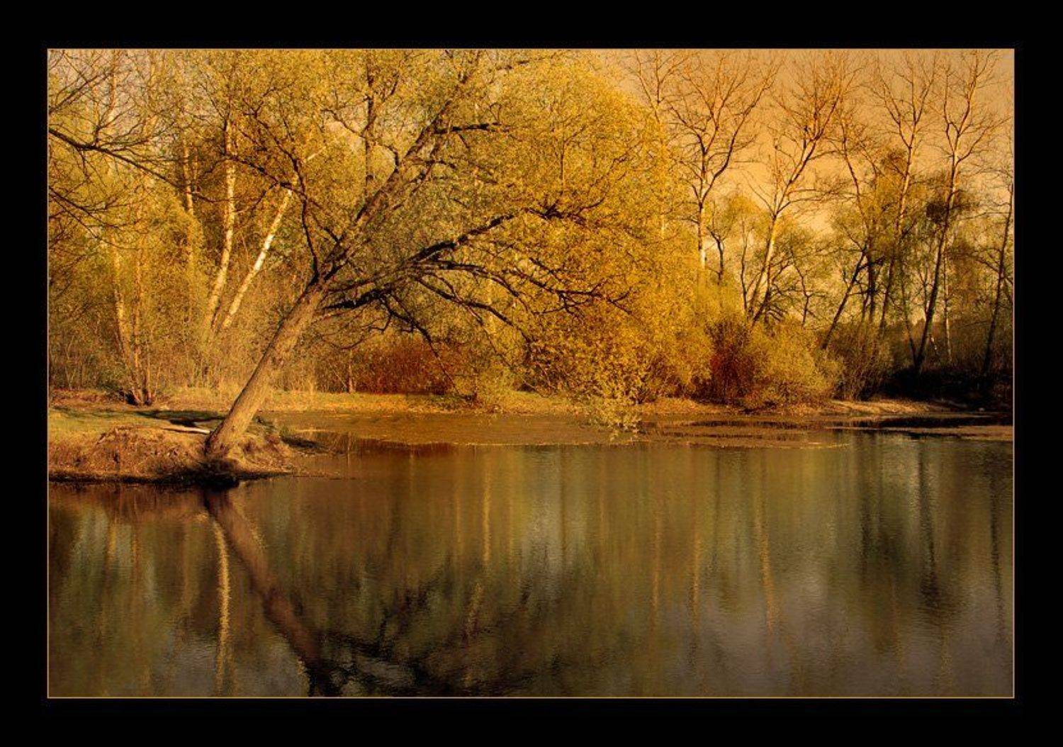 , &bull;**/ASSOL**&bull;