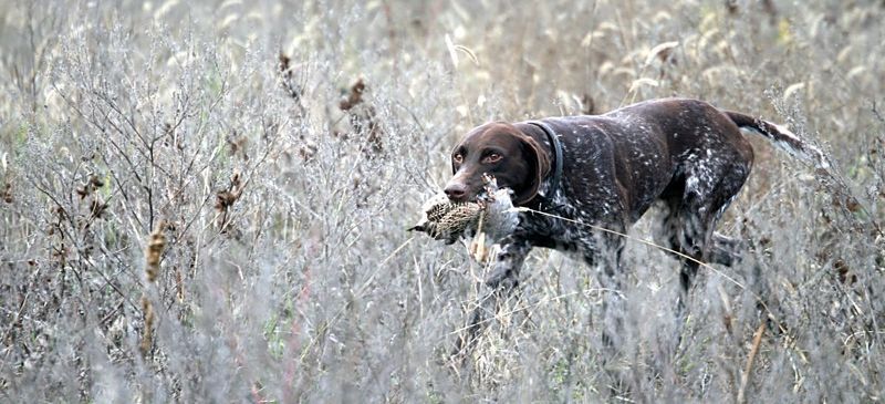 ... фото превью