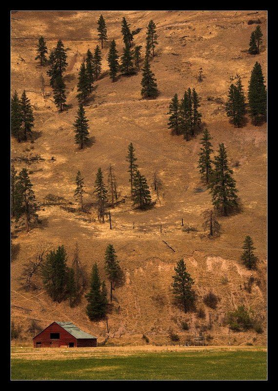 Квартирный вопрос фото превью