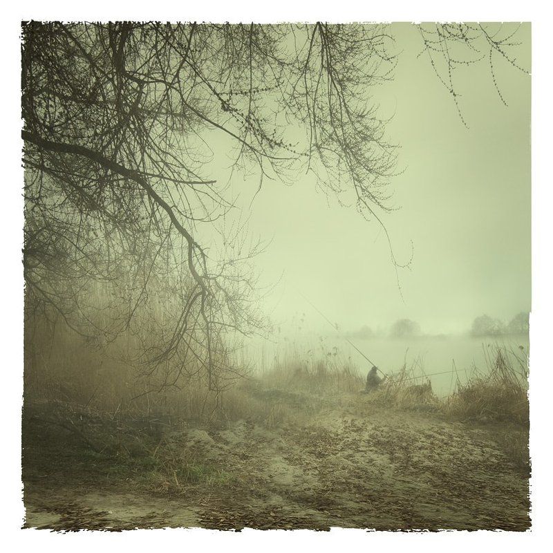 * * * фото превью