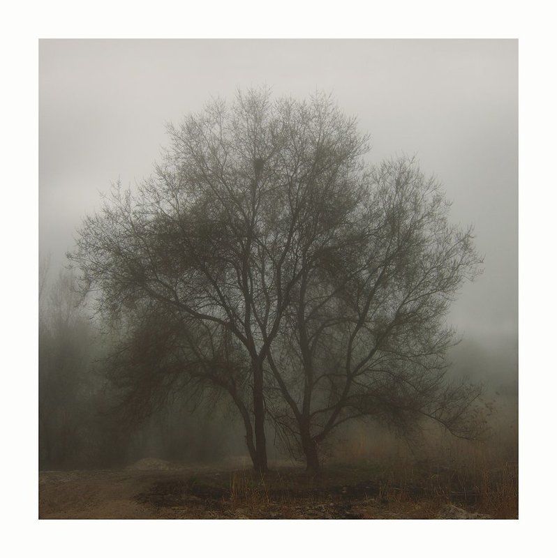 * * * фото превью