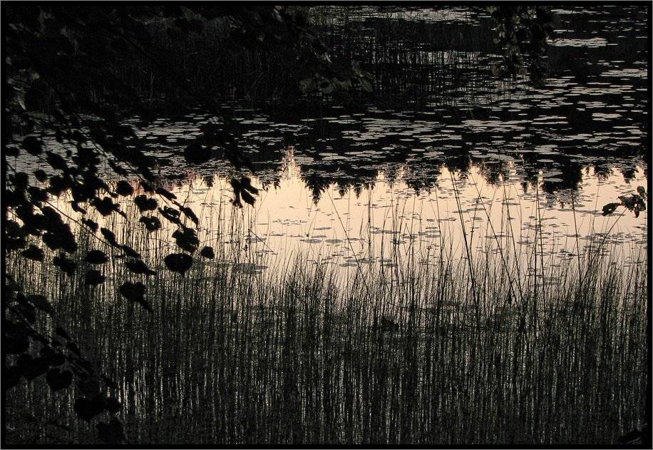 , Лунный Ежик