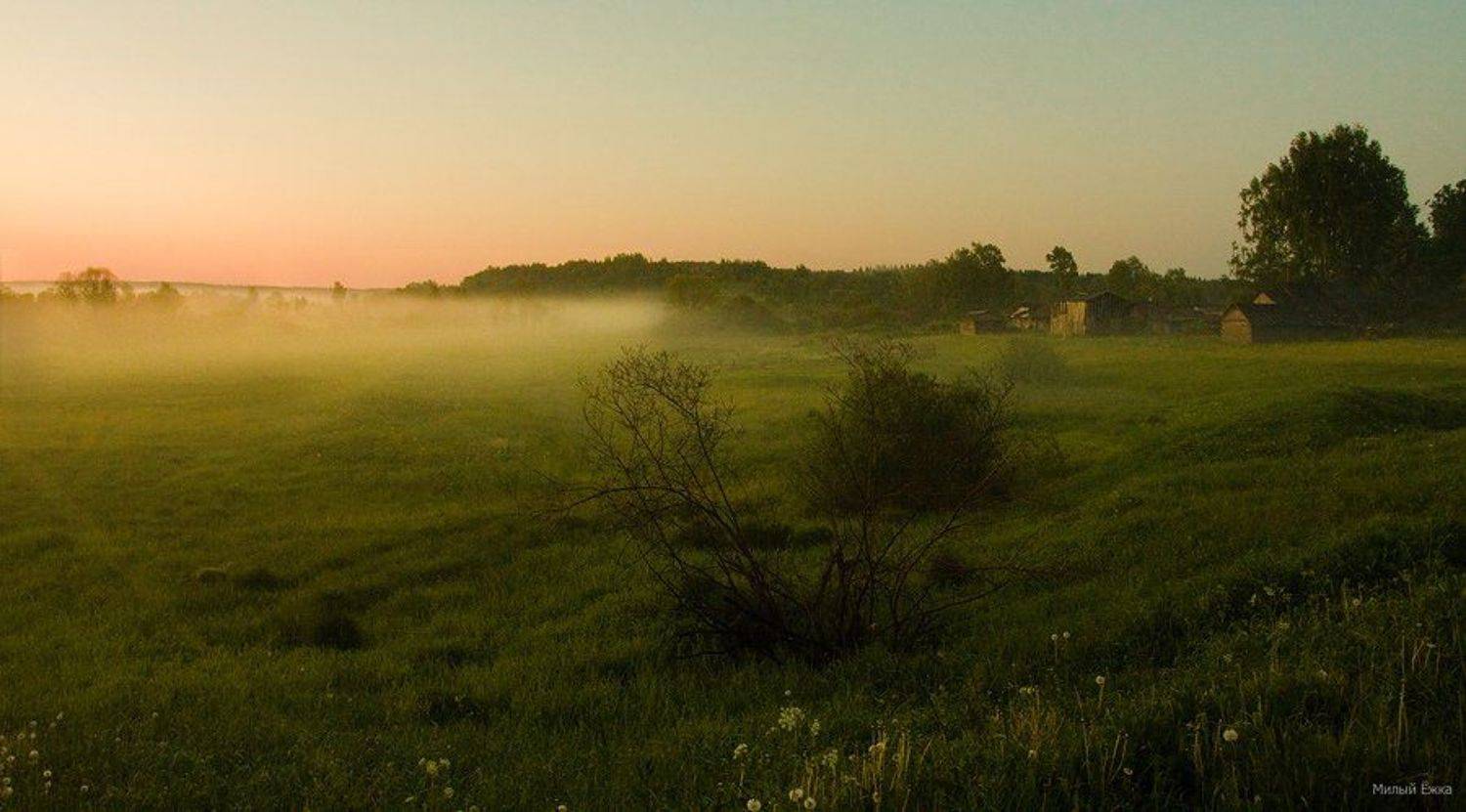 , Милый Ёжка