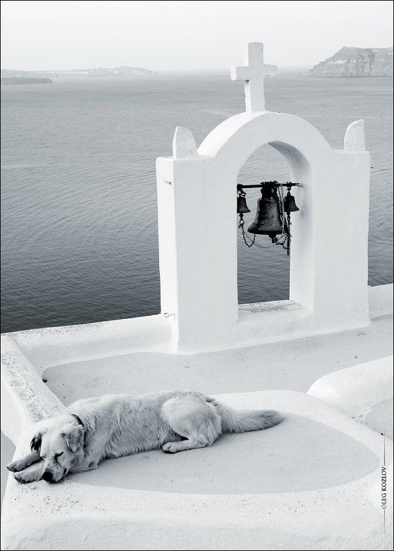 Я тебя никогда не забуду... фото превью