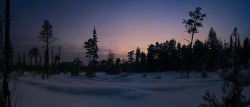 В краю вогулов и манси