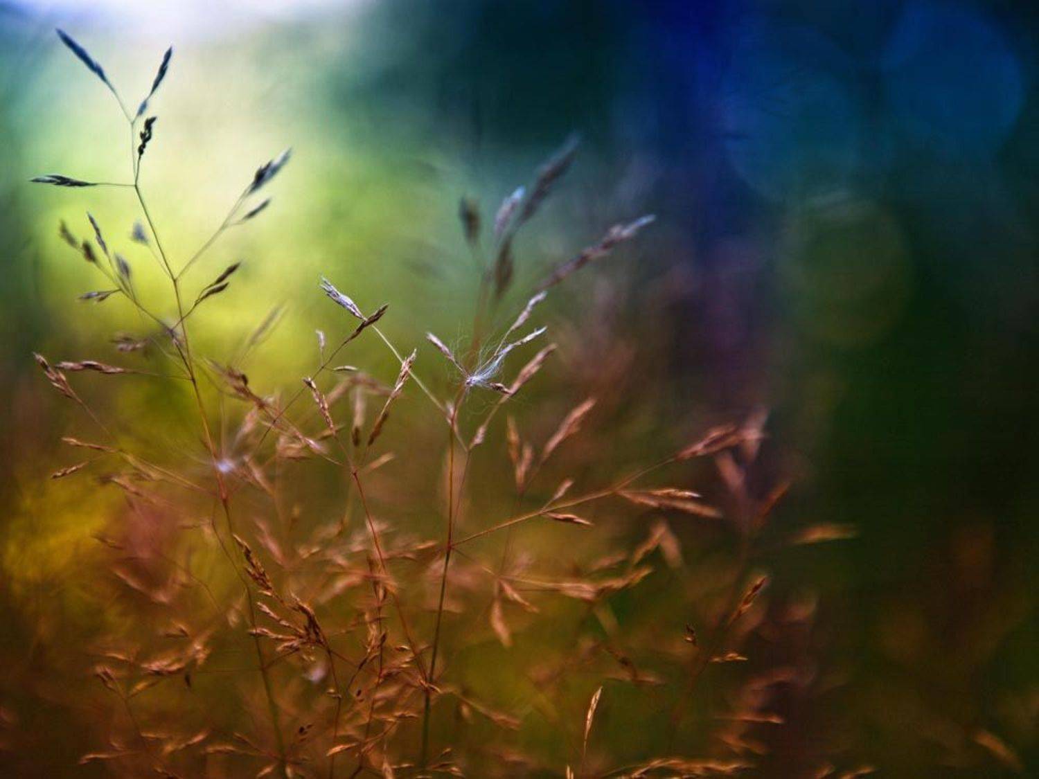 , Смирнов Павел