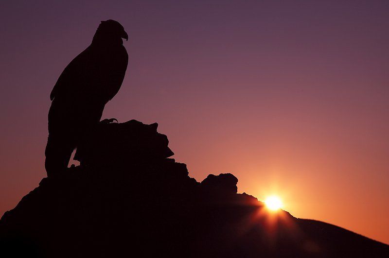 орел, рассвет новый день фото превью