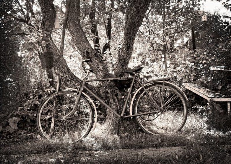 In_my_mind... фото превью