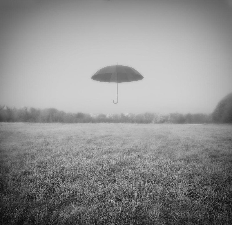 Кое что о зонте тумане и осени (Серия) фото превью