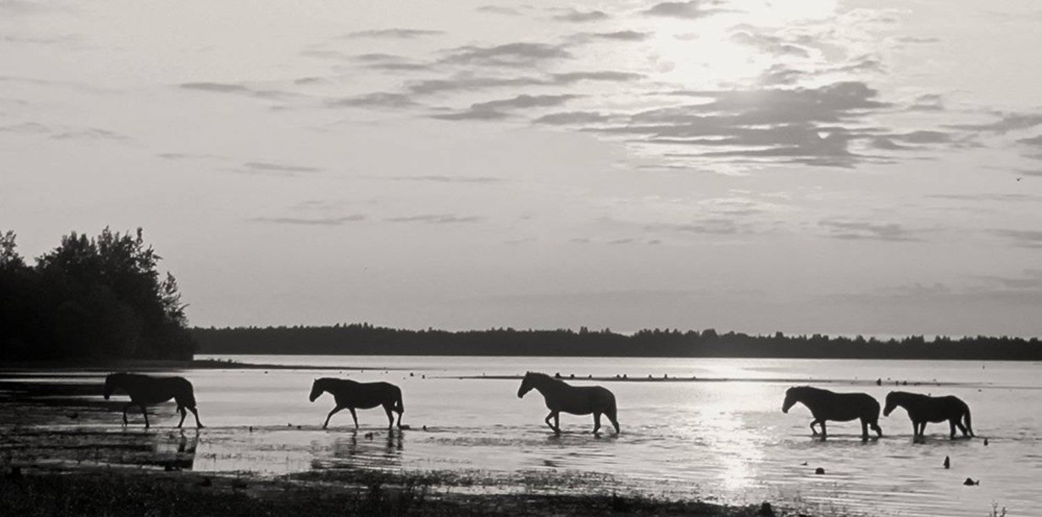 , Олег Яковлев