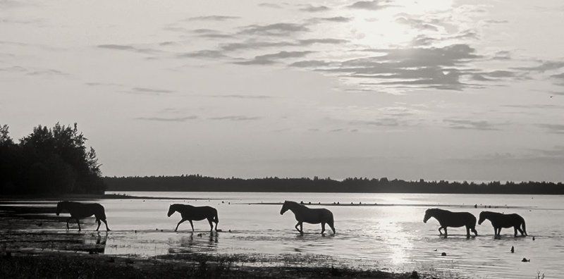 в ночное фото превью