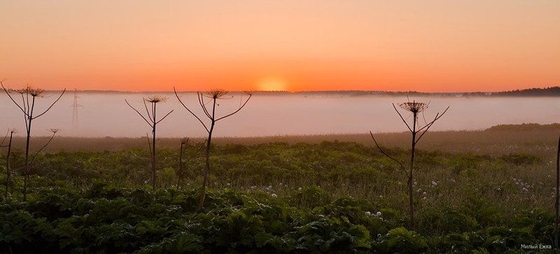 Рассветное море и зонтики... фото превью