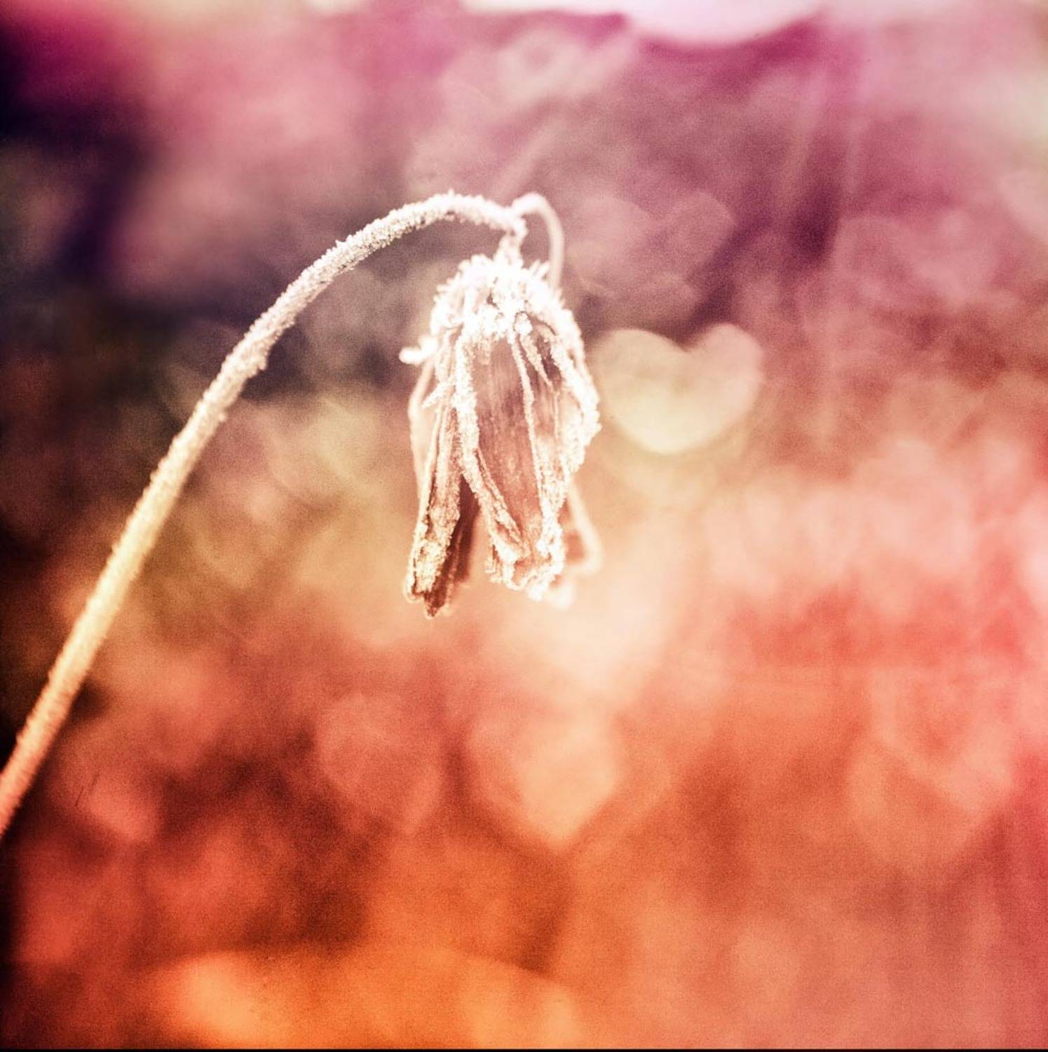 , Смирнов Павел