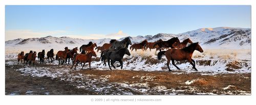 На встречу с солнцем