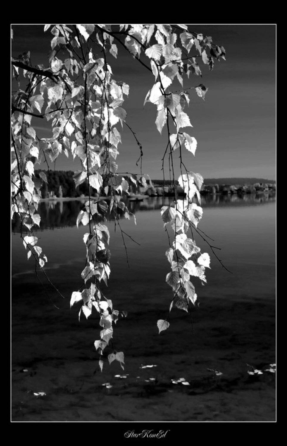 , Константин Стародубцев