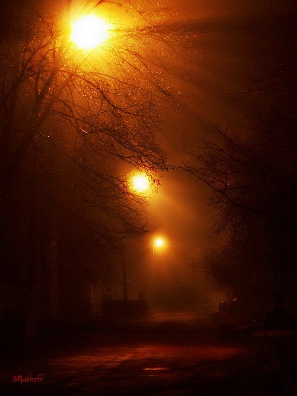 ночные светила фото превью