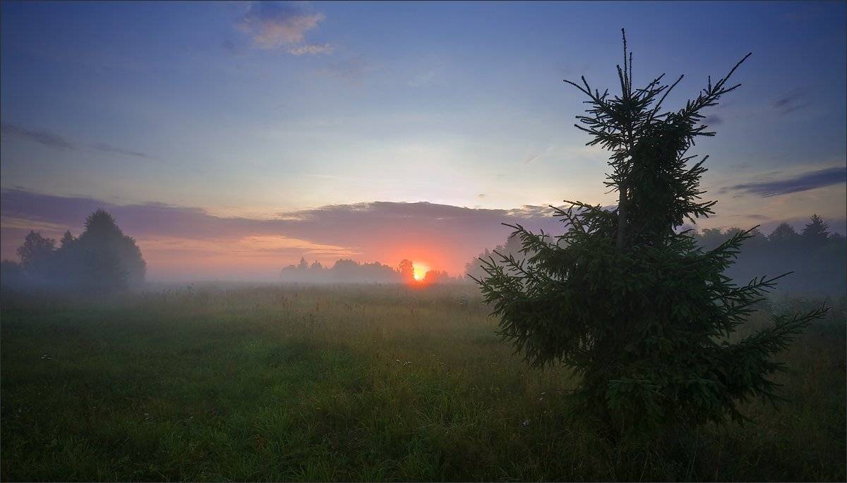, Владимир Скляров