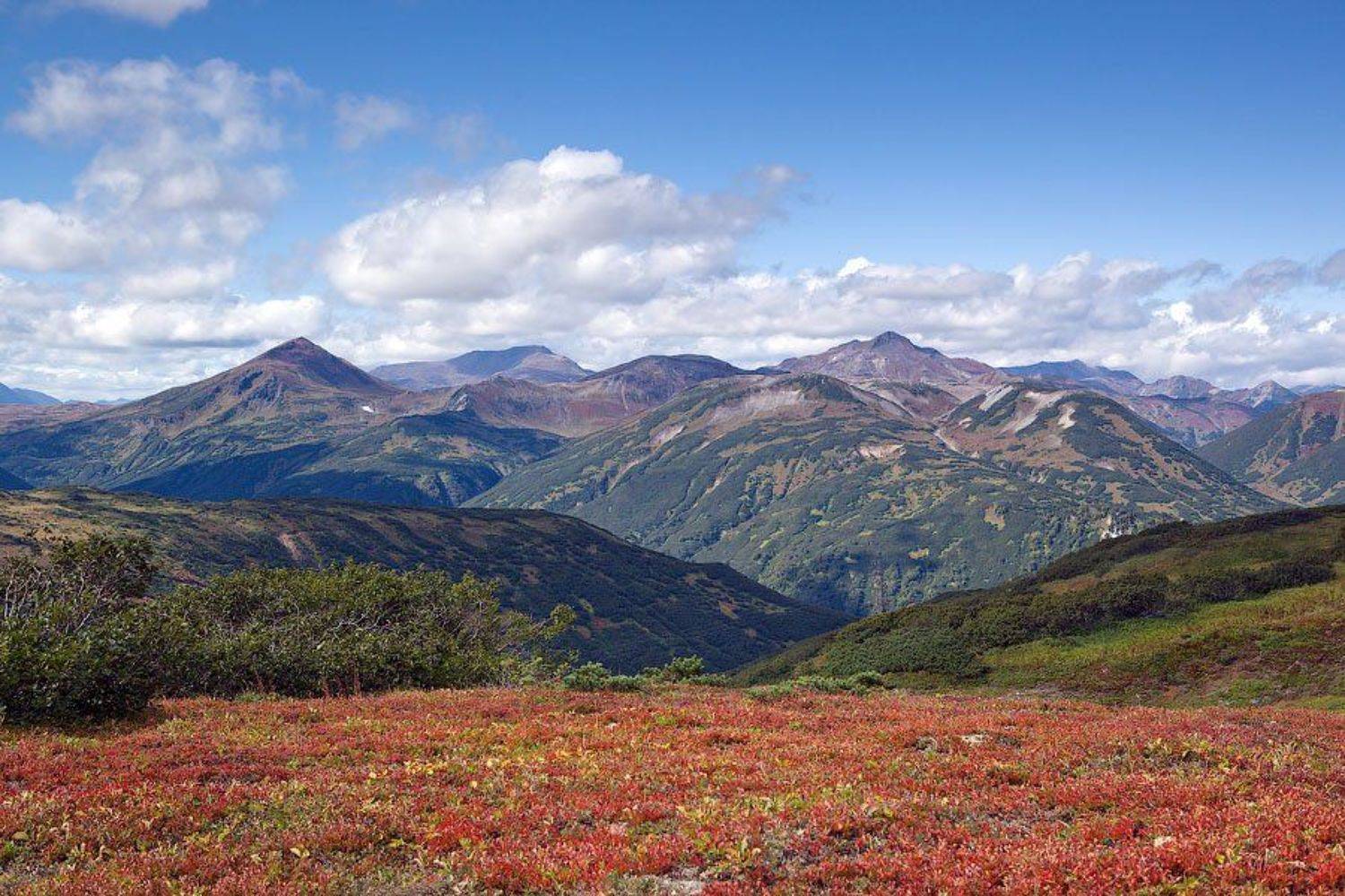 камчатка, Скиталец