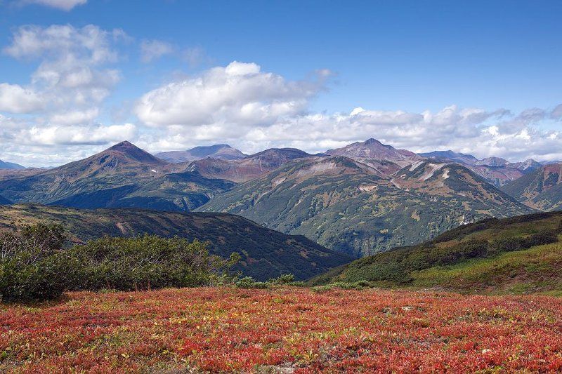камчатка Красное и камуфляж фото превью