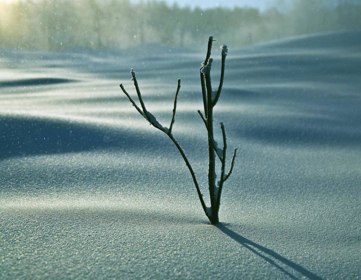 , Смирнов Павел