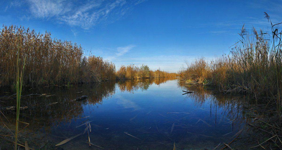 , Михаил Мочалов