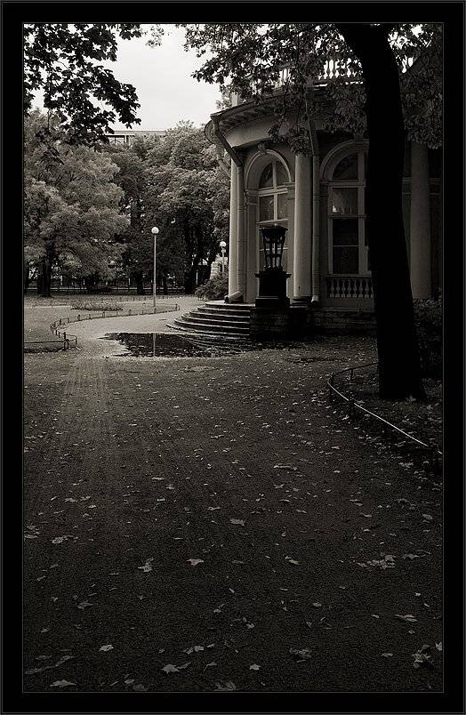 петербург, центр, осень, чб, Kirill Shapovalov