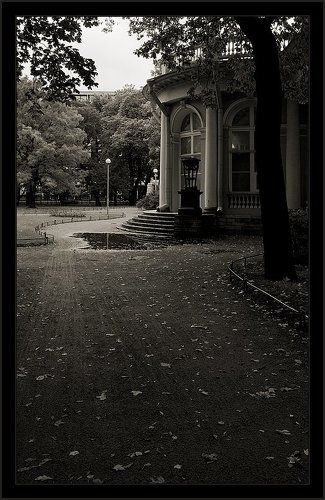 Парковая осенняя зарисовка