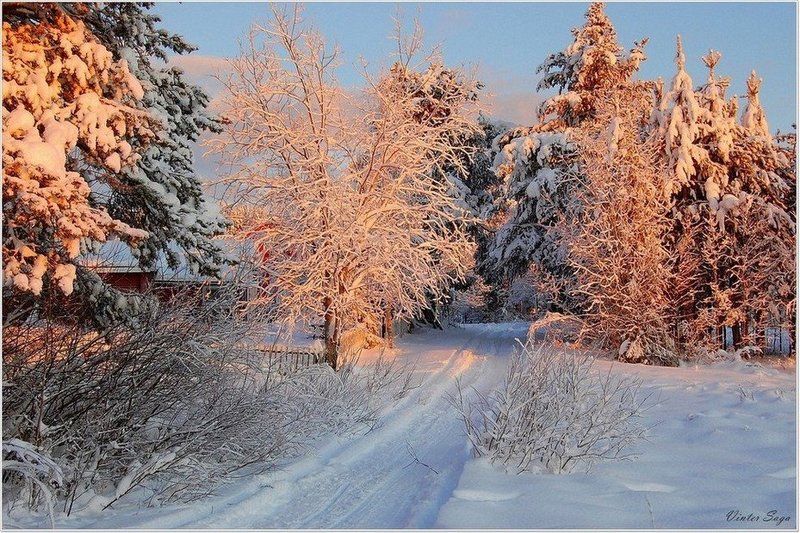 Зимние краски фото превью