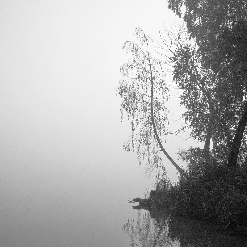 фото_3 фото превью