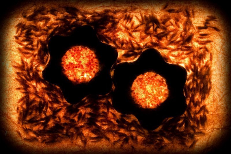 Жернова фото превью