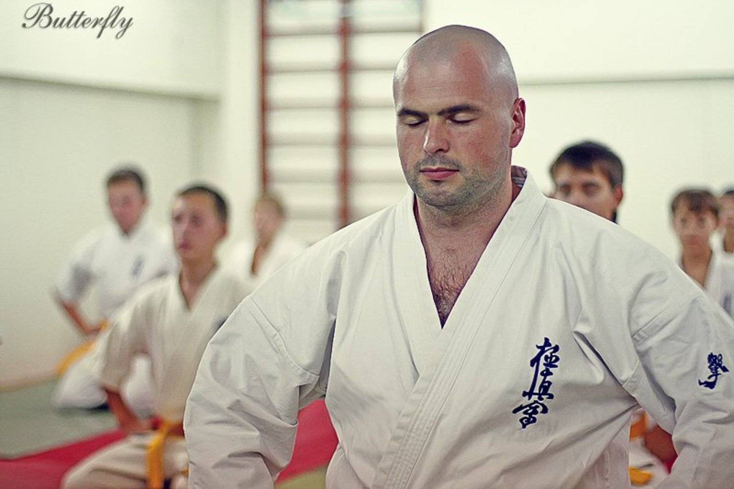 карате, киокушин,, buttya