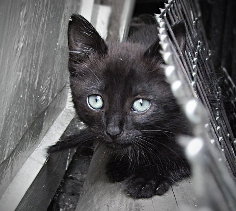 Малыш фото превью