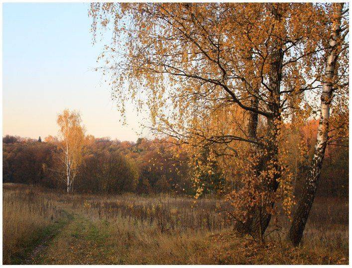 осень, усадьба, суханово, Валентин