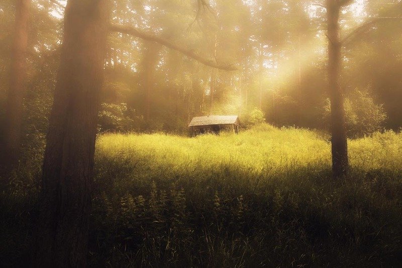 Лесная избушка фото превью