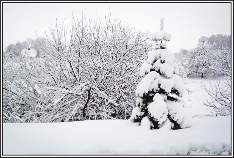 Снега! фото превью