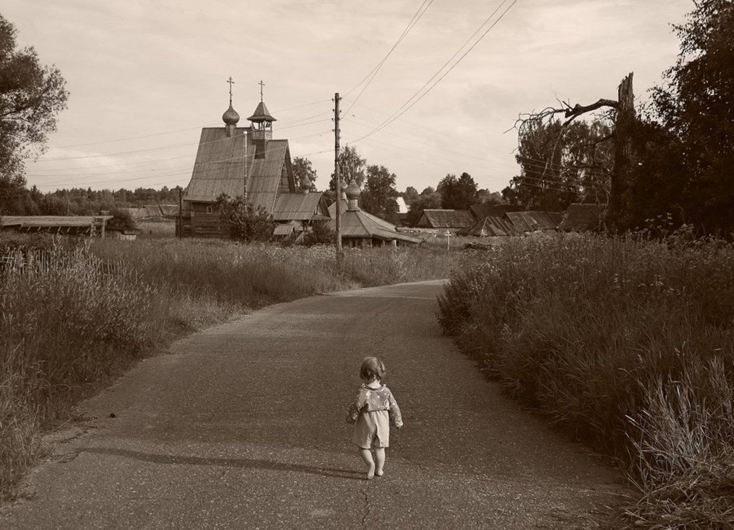 , Алексеенко Алексей Николаевич