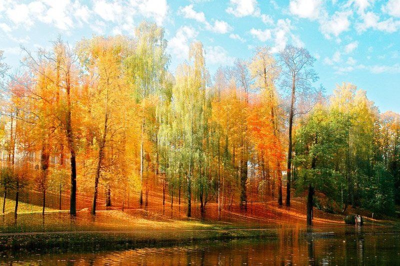 Попытка воспроизведения техники Janusz Taras фото превью