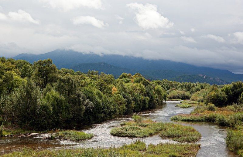 *** фото превью