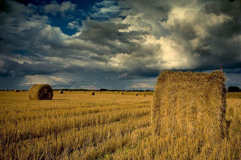 поля, сено, тюки. осень на пороге осень фото превью