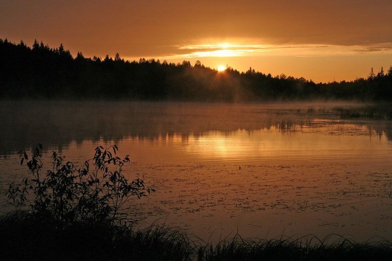 рассвет Так можно услышать тишину... фото превью