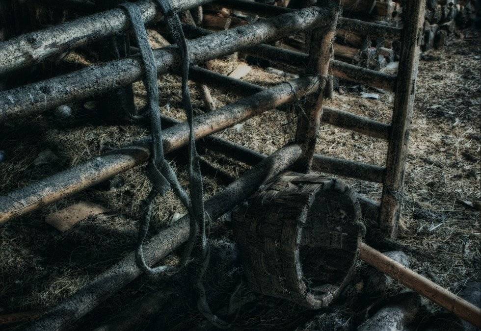 , Владимир Липецких