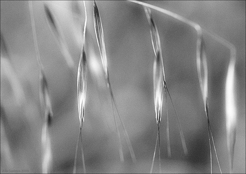 ***** фото превью