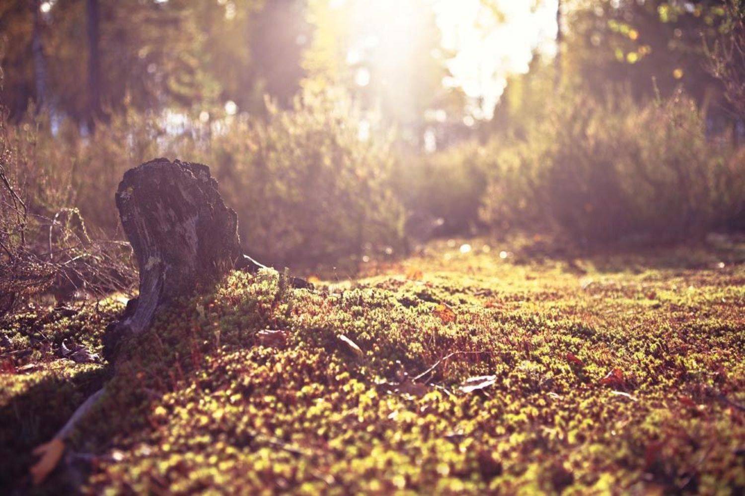 , Смирнов Павел