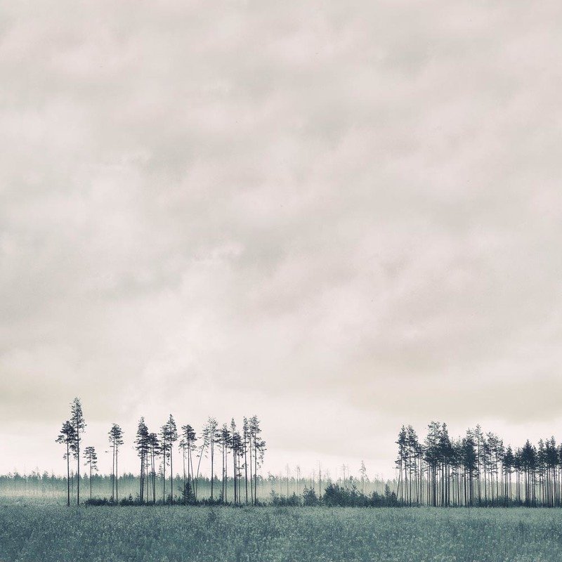 Стойкие фото превью