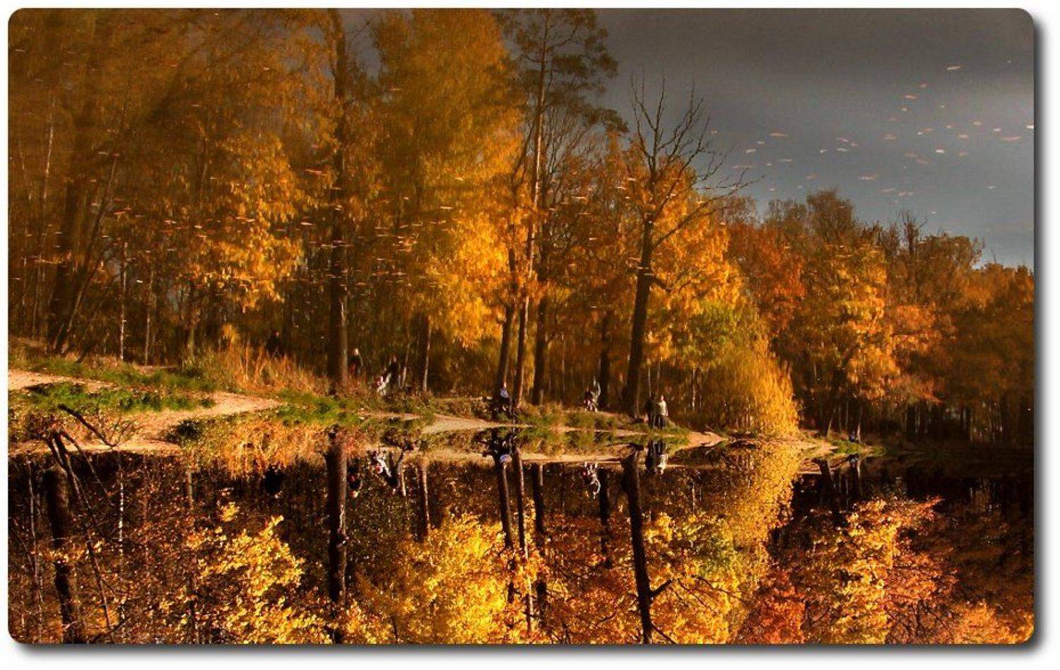 , &bull;**/ASSOL**&bull;