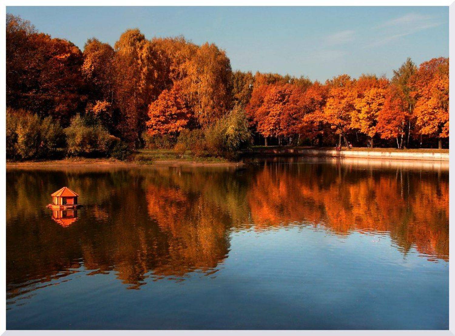 , &bull;**/ASSOL**&bull;