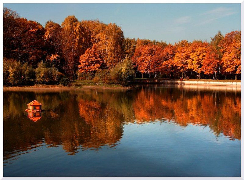 Опьянев от наслажденья.. фото превью