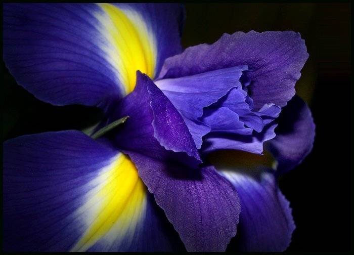 , Юлия Чекмарева